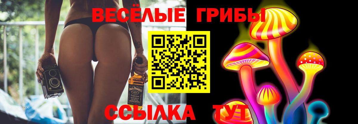 Псилоцибиновые грибы Psilocybine cubensis  где продают наркотики  Отрадный  Вход с VPN 