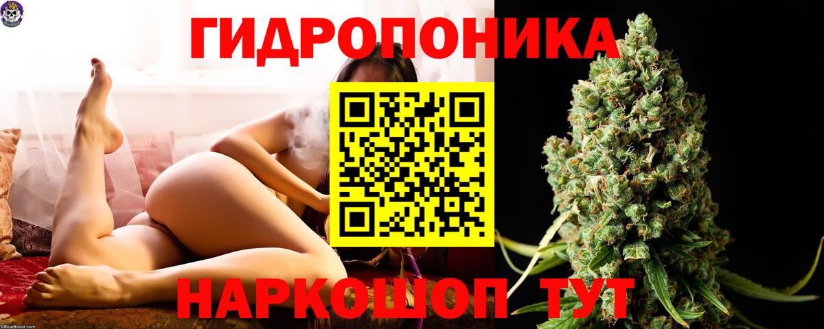 Бошки Шишки план Отрадный