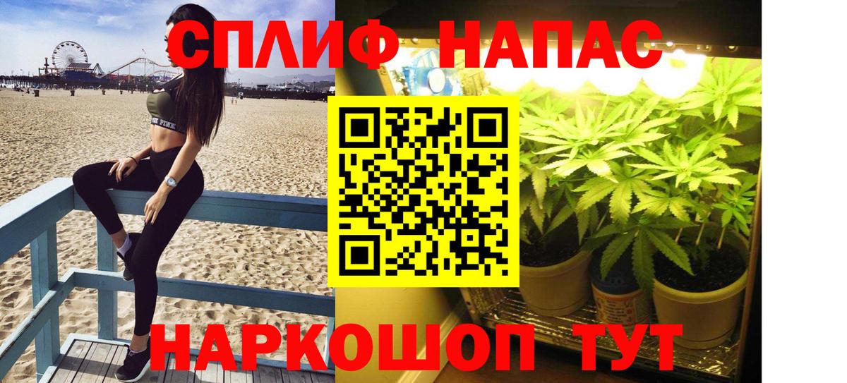 Бошки Шишки планчик  Канабис гибрид  Марихуана OG Kush  Отрадный  Вход с VPN 